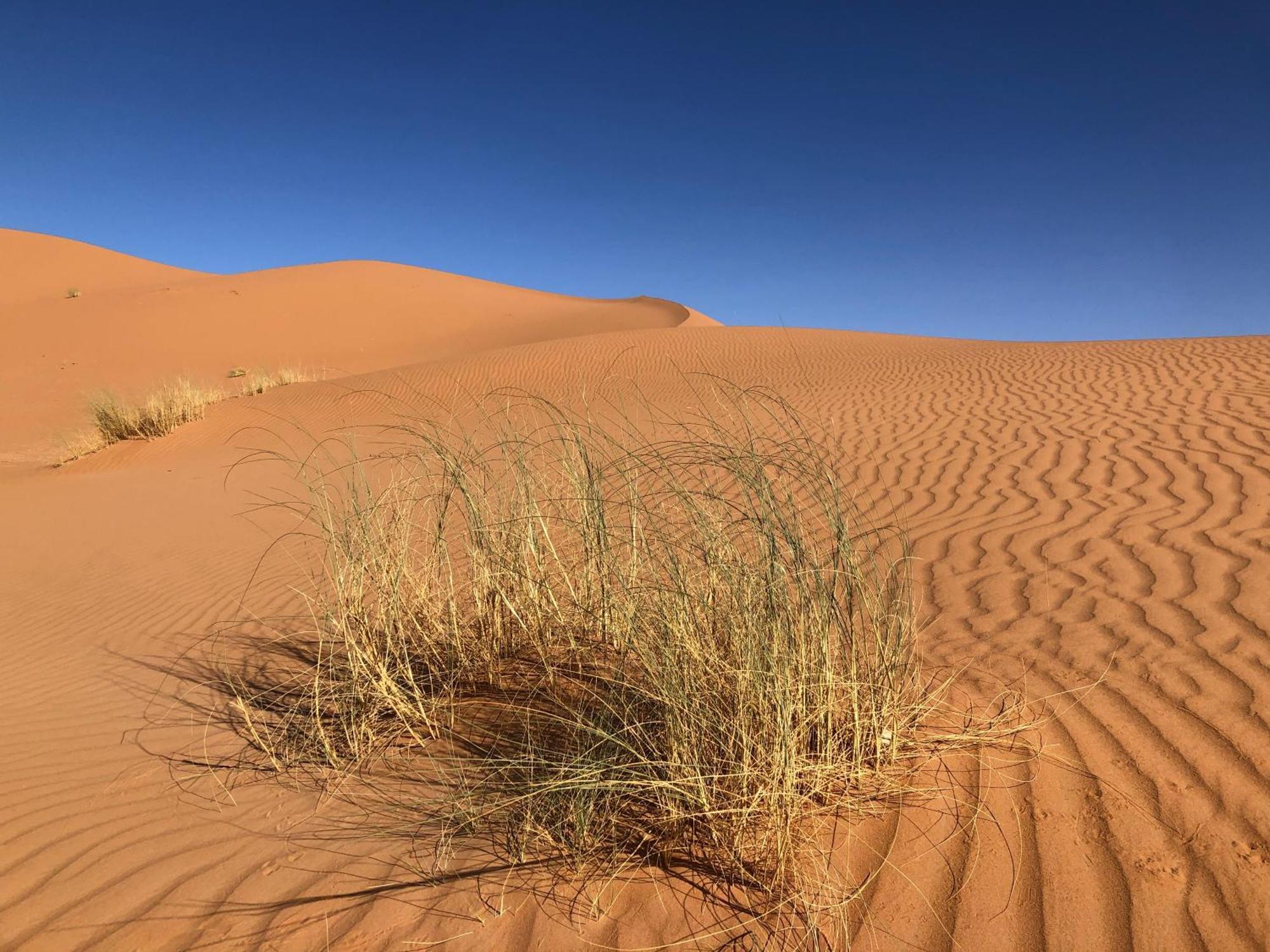 Bivouac Le Petit Prince Merzouga Luaran gambar